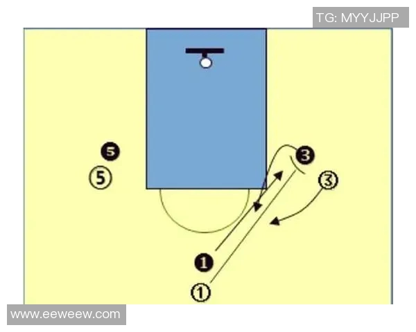 以控球后卫为核心打造篮球战术体系解析与发展趋势探讨